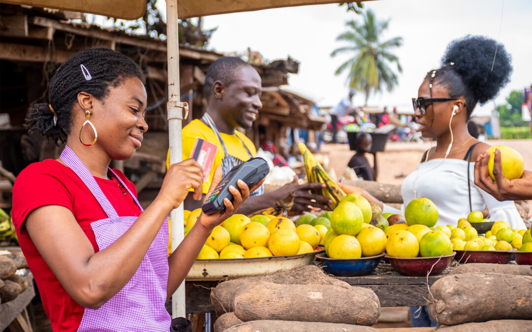 Mozambique’s Local Capacity Building Initiatives Enhance Digital Development